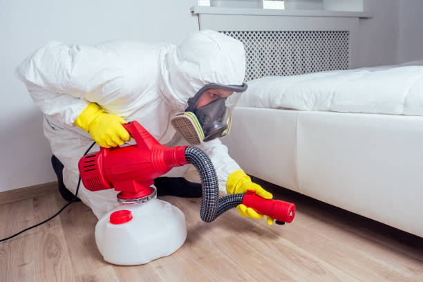 Emergency Pest Control Services in Homer, IL